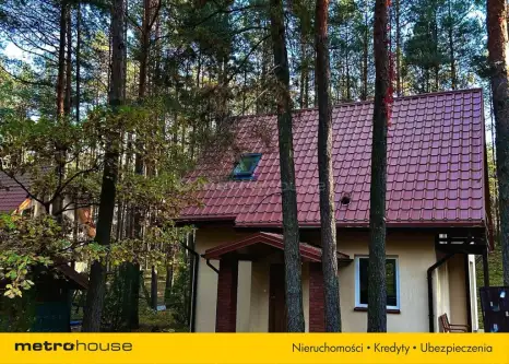 Nowy lubiel ,  Skryta   10