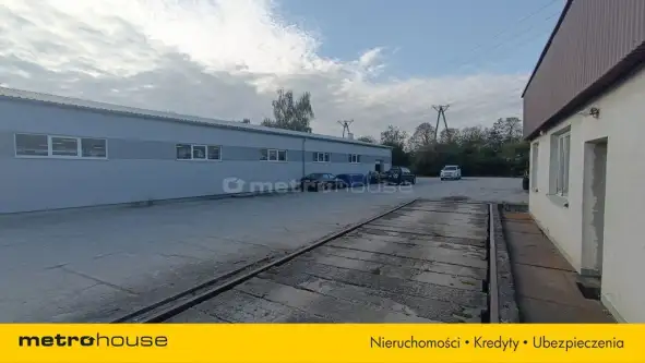 Działdowo ,  Męczenników   10