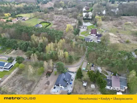 Złotoria ,  Leśna   2