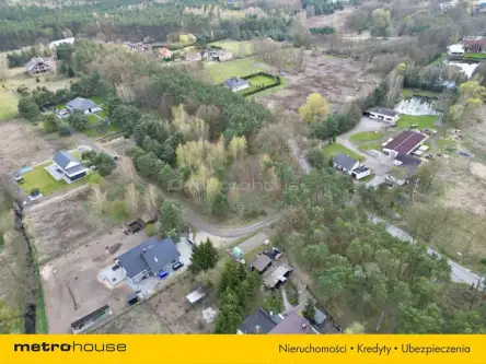 Złotoria ,  Leśna   3