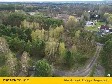 Złotoria ,  Leśna   7