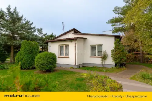 Brzozówka ,  Leśna   15