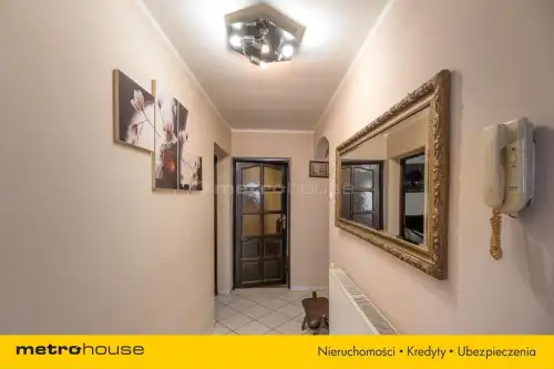 Brzozówka ,  Leśna   17