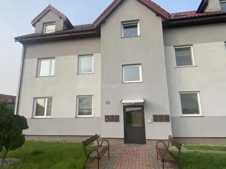 Głogowo ,  Olszynowa   4