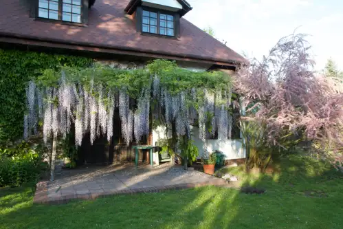 Konstancin-jeziorna   4