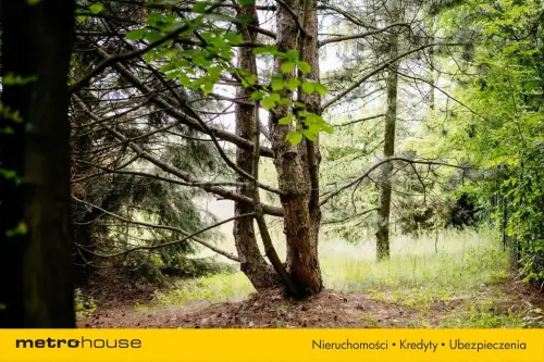 łuszczów pierwszy   26