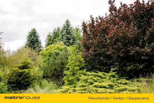 łuszczów pierwszy   28