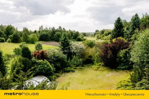 łuszczów pierwszy   29