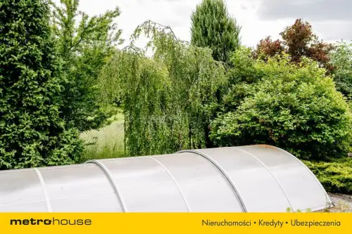 łuszczów pierwszy   30