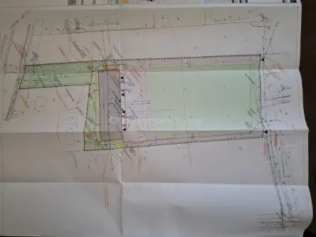 Zławieś wielka   2