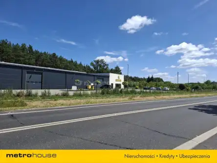 Zławieś wielka   3