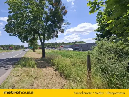 Zławieś wielka   4