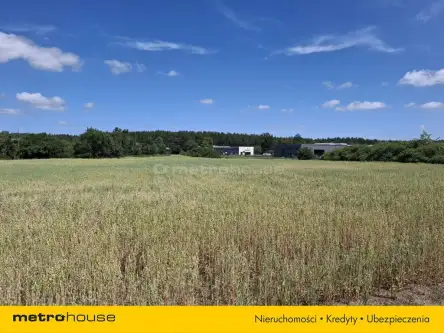 Zławieś wielka   8