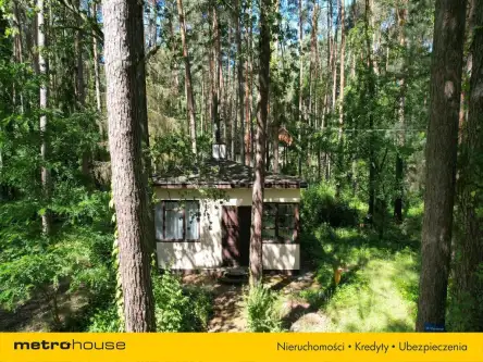 Sokolniki-las ,  Bolesława chrobrego   10