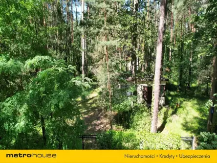 Sokolniki-las ,  Bolesława chrobrego   11