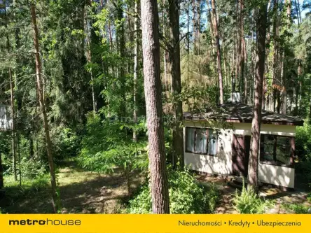 Sokolniki-las ,  Bolesława chrobrego   12