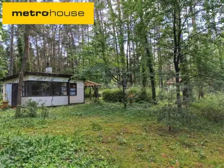  Sokolniki-las   Bolesława chrobrego 