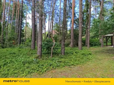 Sokolniki-las ,  Bolesława chrobrego   5