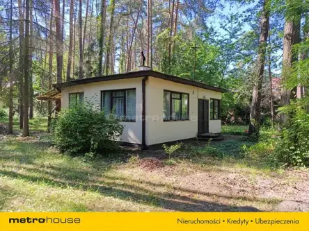 Sokolniki-las ,  Bolesława chrobrego   8