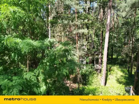 Sokolniki-las ,  Bolesława chrobrego   9