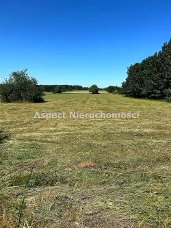 Zabłudów ,  Św. Rocha   2