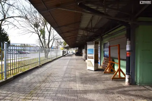 łęczna ,  Braci Wójcickich   2