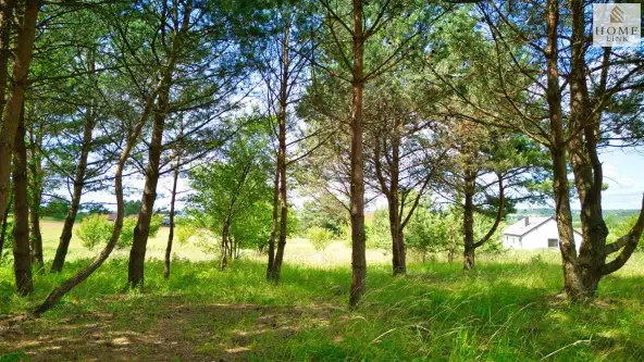 Giedajty ,  Sokola   19