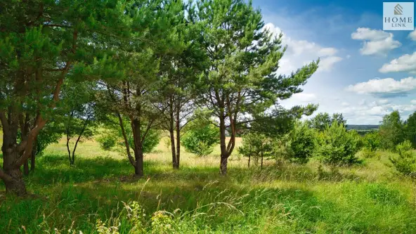 Giedajty ,  Sokola   20