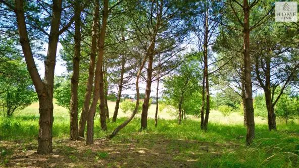 Giedajty ,  Sokola   21