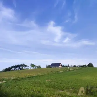 Krużlowa wyżna   10