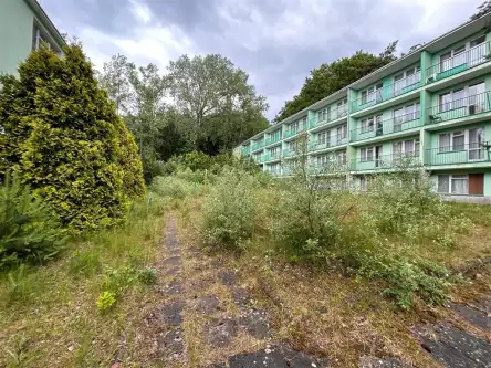 Jastrzębia Góra   6