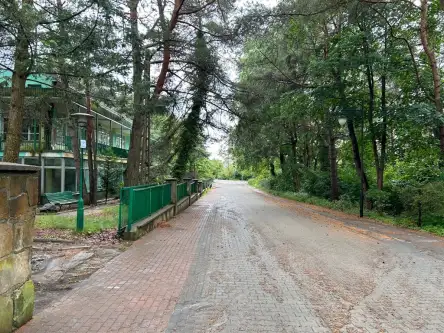 Jastrzębia Góra   7