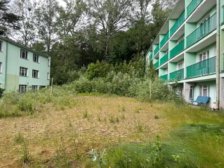 Jastrzębia Góra   8