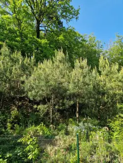 Gdynia ,  Tatrzańska   6