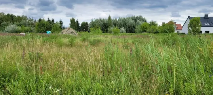 Radzymin ,  Walerego Wróblewskiego   4