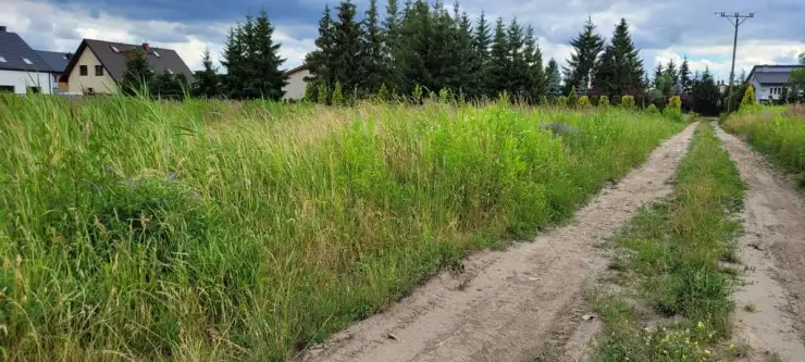 Radzymin ,  Walerego Wróblewskiego   5