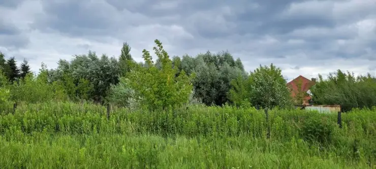 Radzymin ,  Walerego Wróblewskiego   7