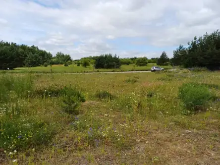 Trzcińsk ,  Dębowa   8