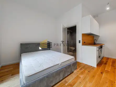 Konstancin-jeziorna   12