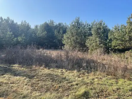  Bolesławowo   Jastrzębia 