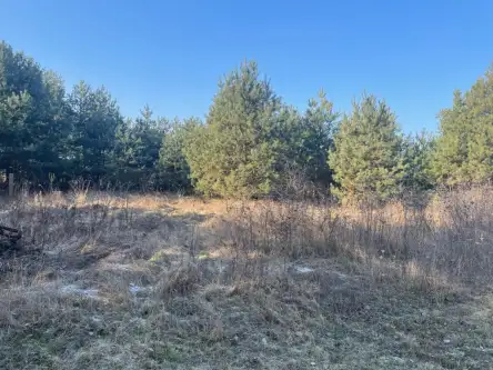 Bolesławowo ,  Jastrzębia   3