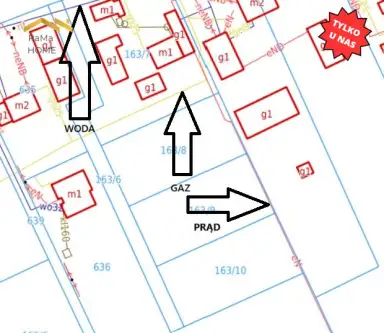 Biórków wielki   10