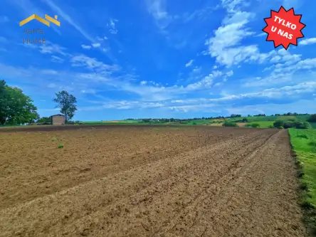 Biórków wielki   2