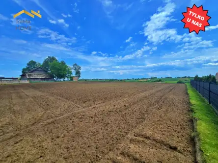 Biórków wielki   3