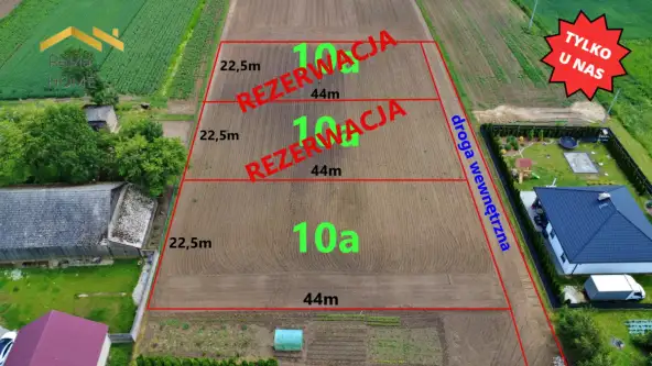 Biórków wielki   4