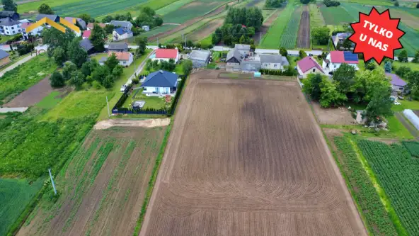 Biórków wielki   6