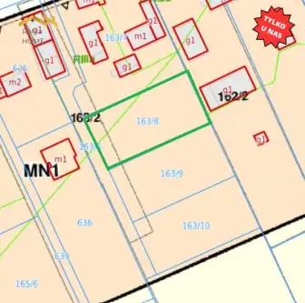 Biórków wielki   8