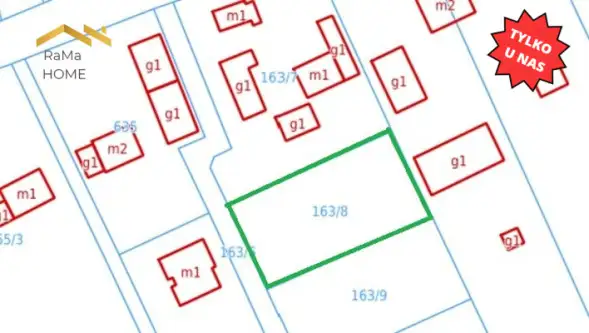 Biórków wielki   9