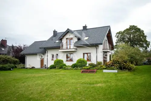 Brużyczka mała   2