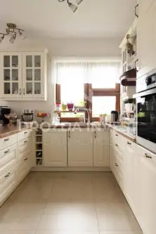 Brużyczka mała   5